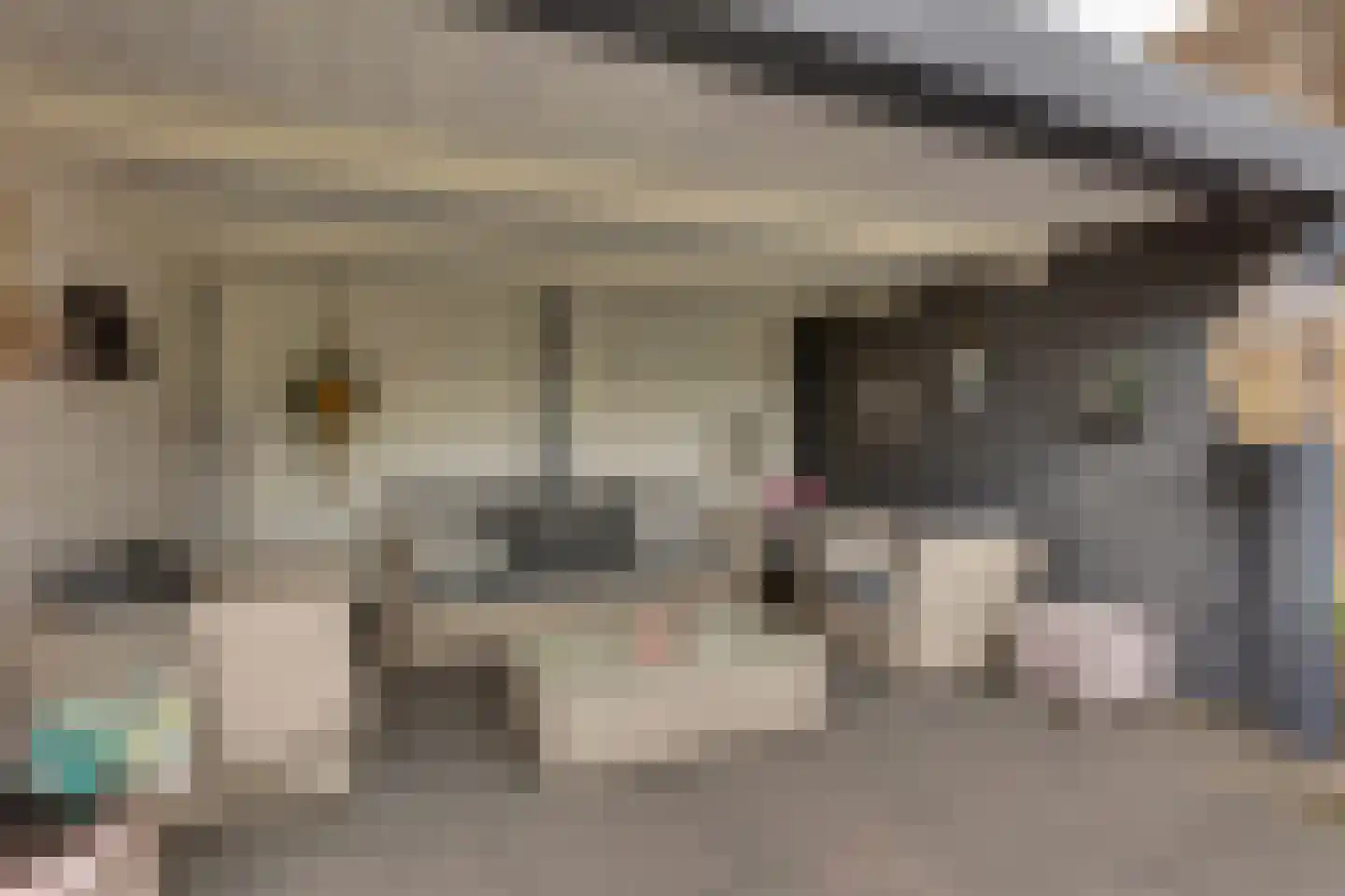 Marinus Postlaan 91 Kampen thumbnail 5