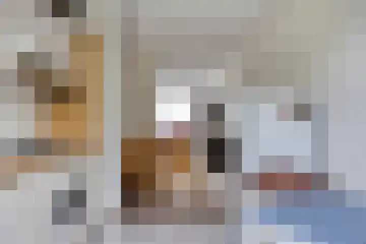 Marinus Postlaan 95 Kampen thumbnail 17