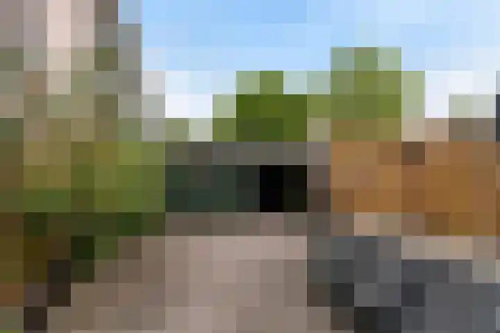 Marinus van der Stoepstraat 8 Vlaardingen thumbnail 19