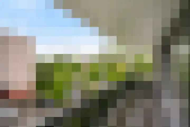 Marinus van der Stoepstraat 8 Vlaardingen thumbnail 42