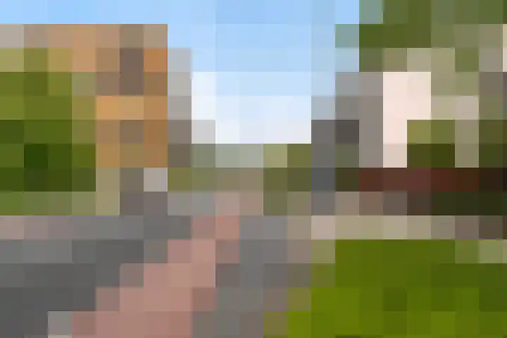 Marinus van der Stoepstraat 8 Vlaardingen thumbnail 44