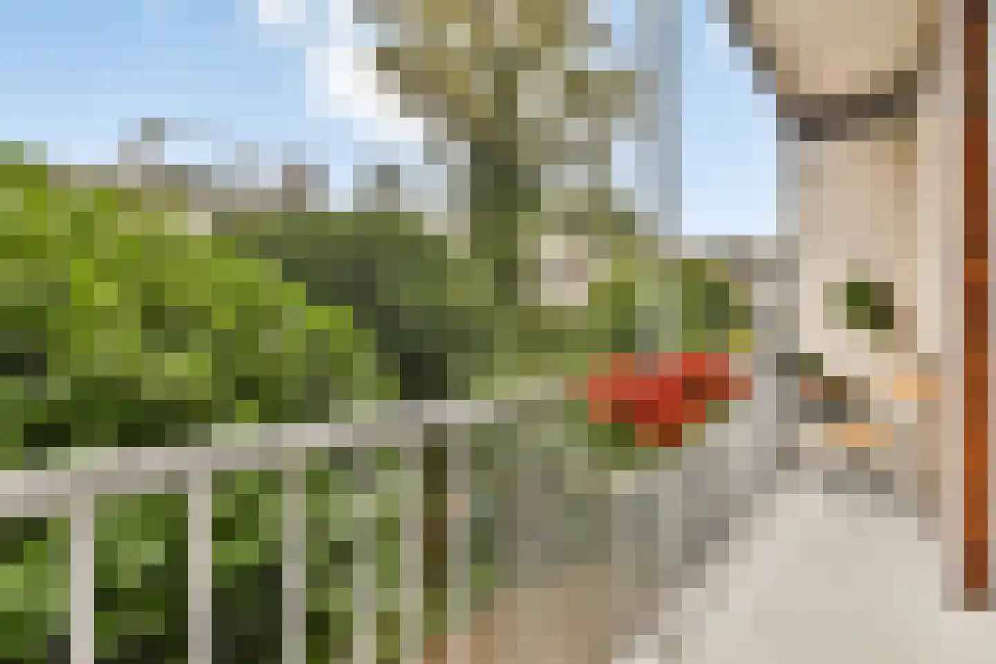 Mariotteplein 53 1 Amsterdam thumbnail 13