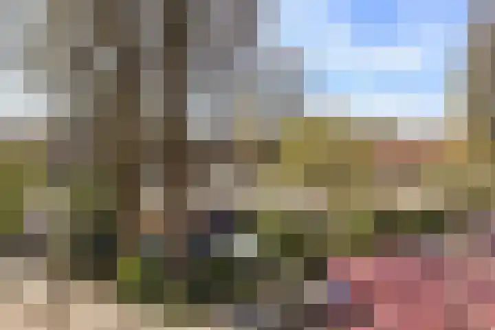 Mariotteplein 55 Amsterdam thumbnail 34