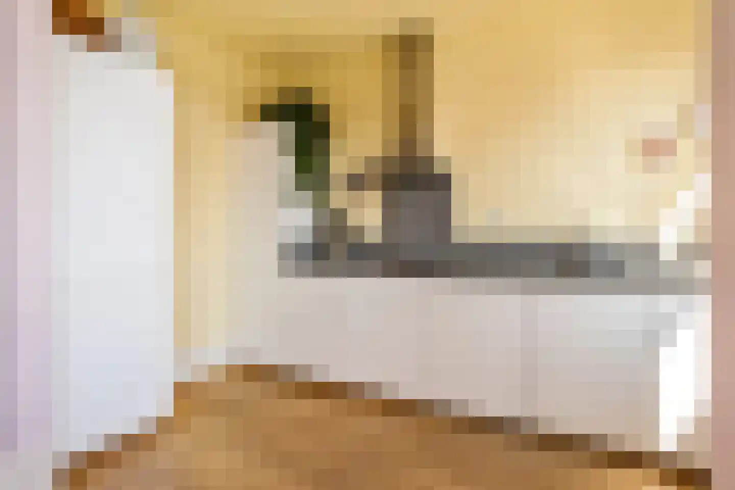 Mariottestraat 73 Den Haag thumbnail 11
