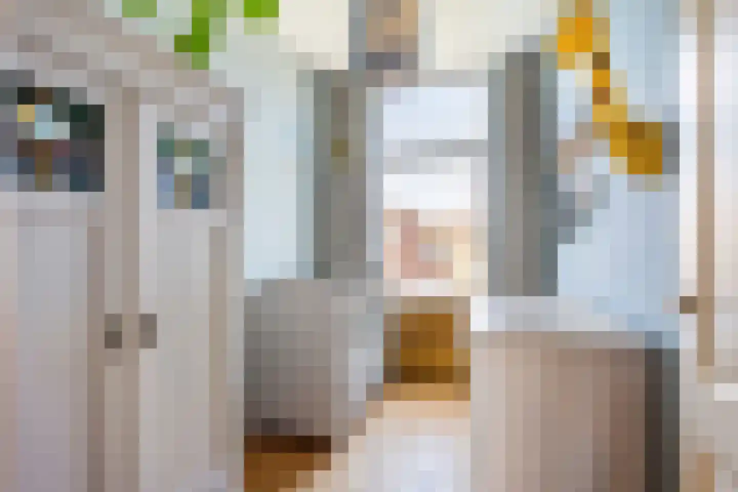 Mariottestraat 73 Den Haag thumbnail 23