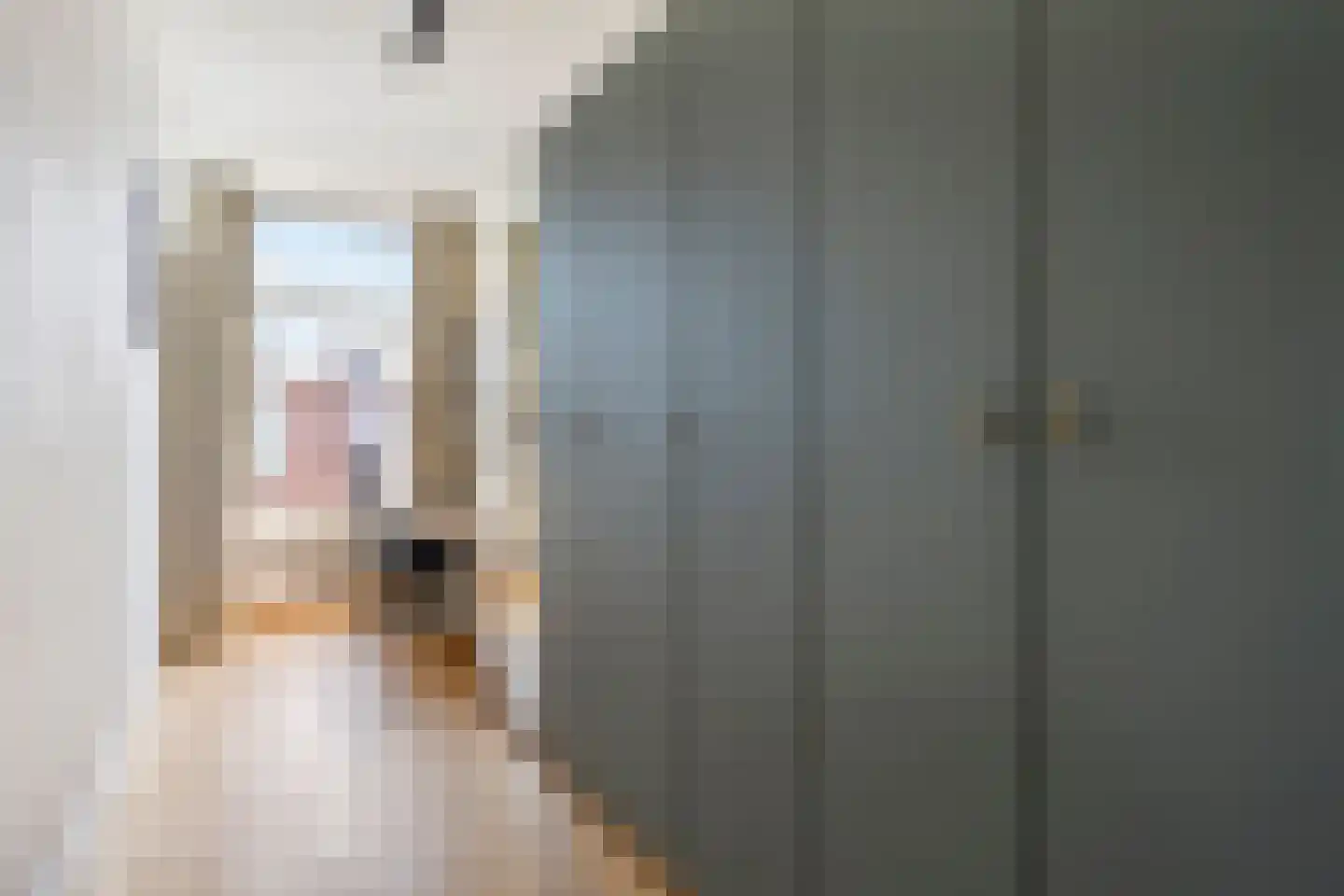 Mariottestraat 73 Den Haag thumbnail 25
