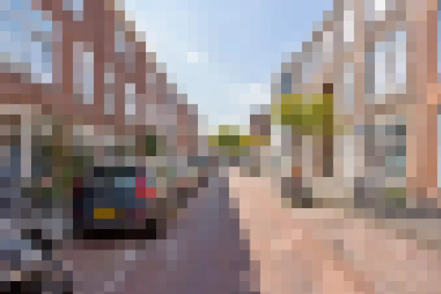 Mariottestraat 73 Den Haag thumbnail 33