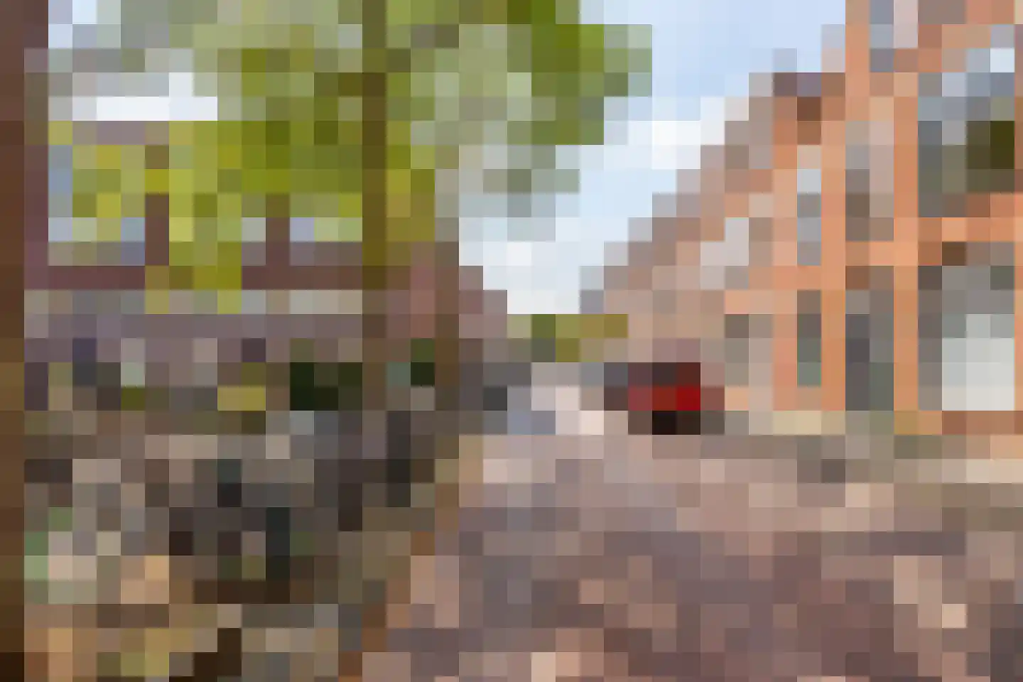 Mariottestraat 73 Den Haag thumbnail 35