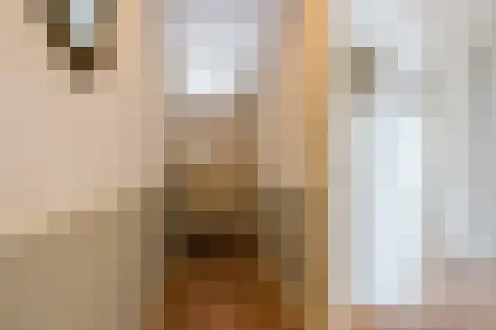 Mariottestraat 75 Den Haag thumbnail 9