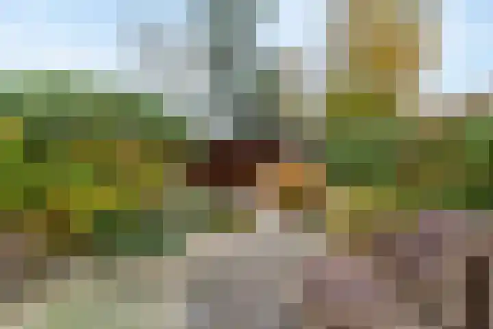 Maris 20 Monster thumbnail 26