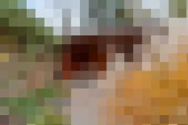 Maris 20 Monster thumbnail 28