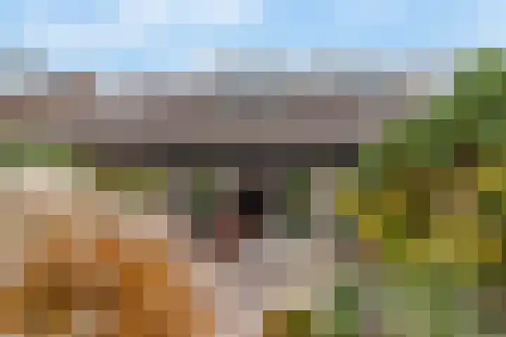 Maris 20 Monster thumbnail 31