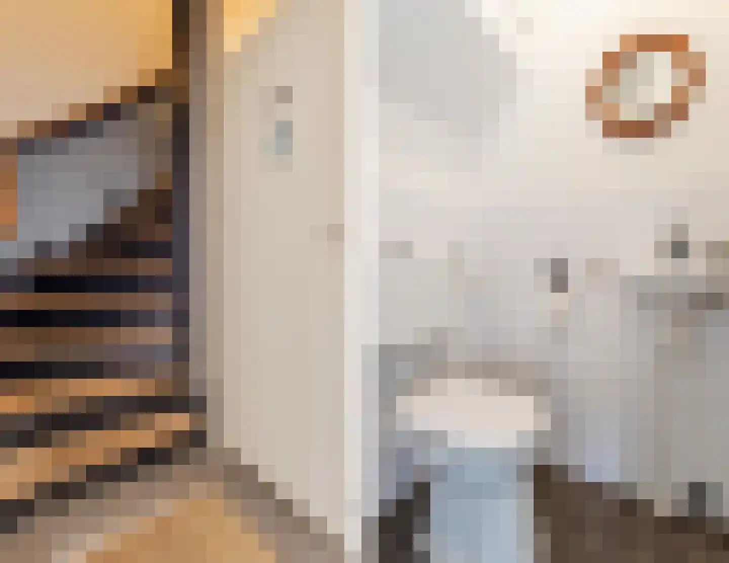 Marishof 100 Lichtenvoorde thumbnail 23