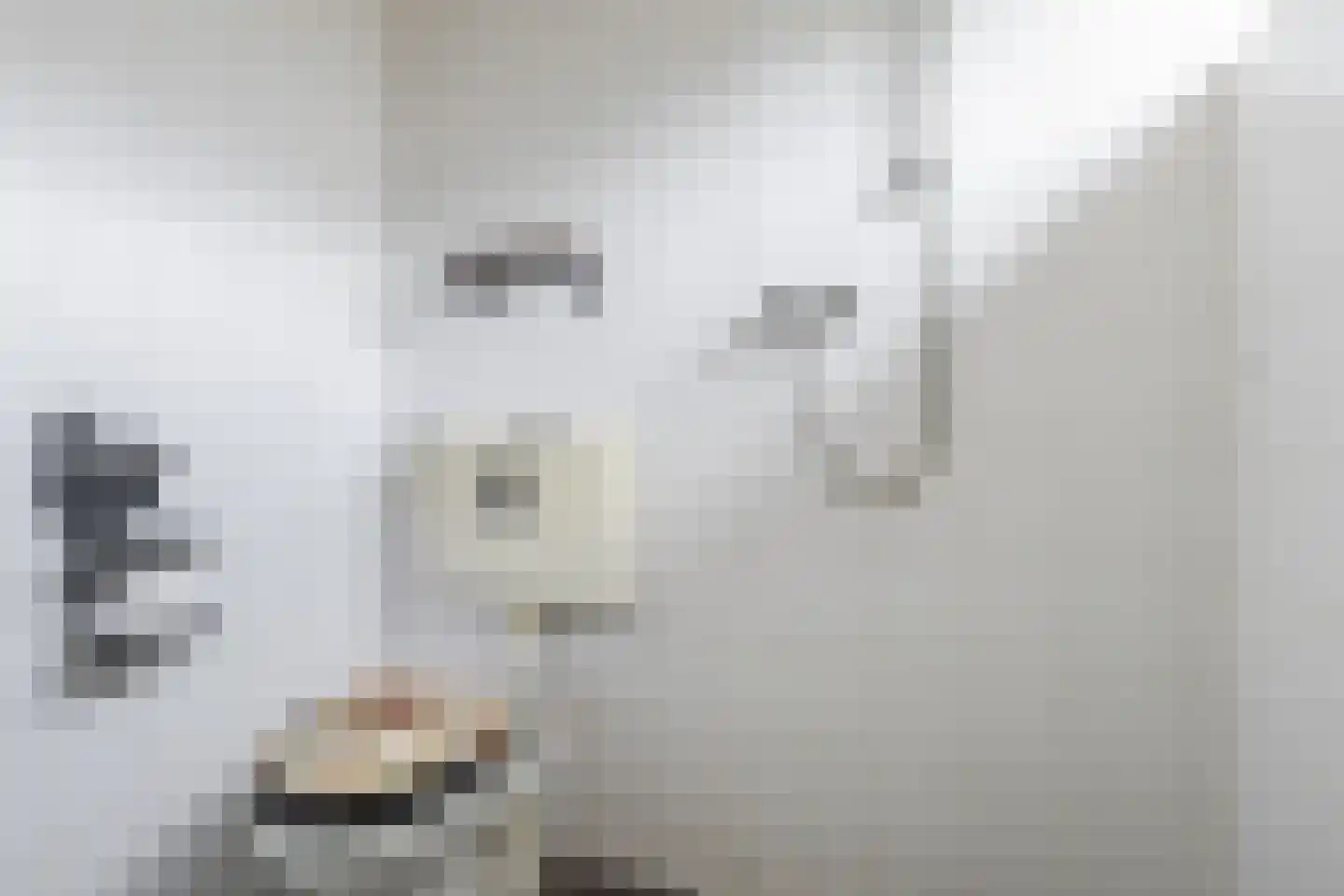 Marishof 100 Lichtenvoorde thumbnail 42