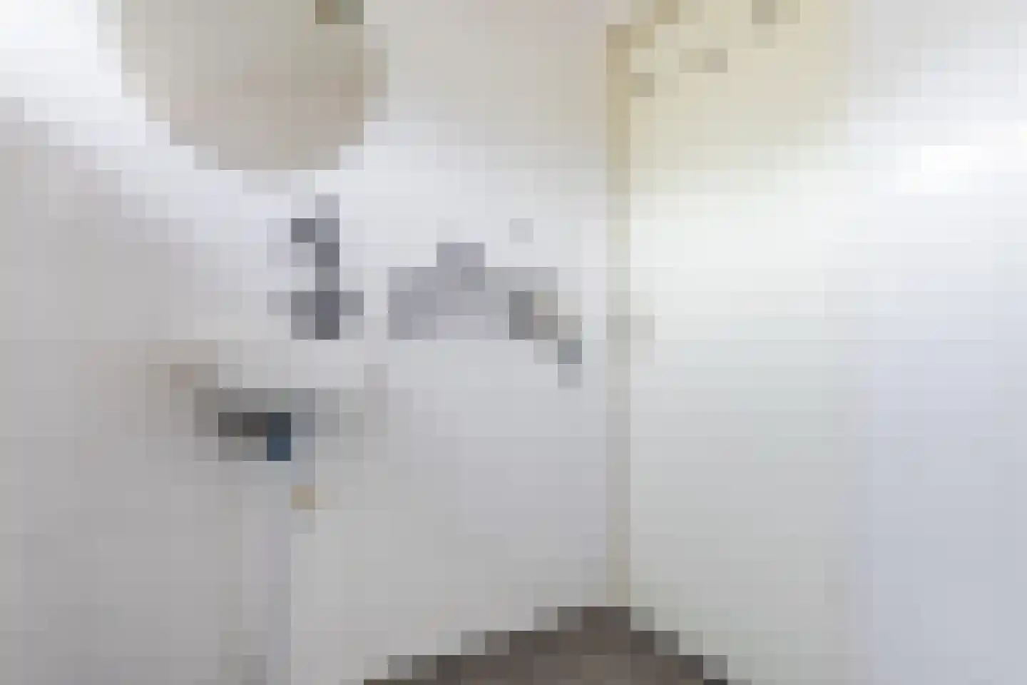 Marishof 100 Lichtenvoorde thumbnail 43
