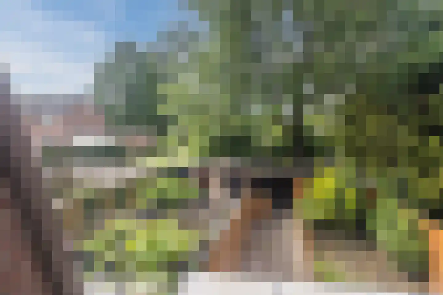 Marishof 100 Lichtenvoorde thumbnail 44