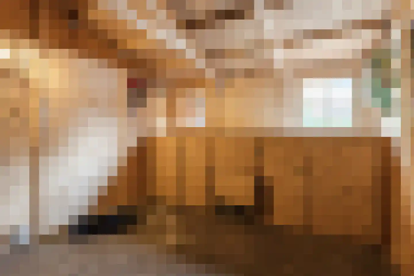 Marishof 100 Lichtenvoorde thumbnail 46