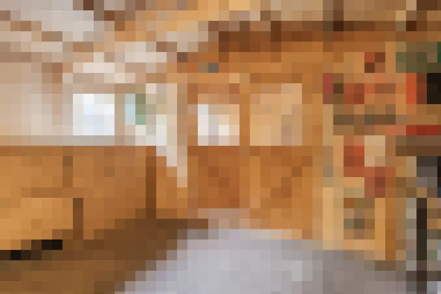 Marishof 100 Lichtenvoorde thumbnail 47