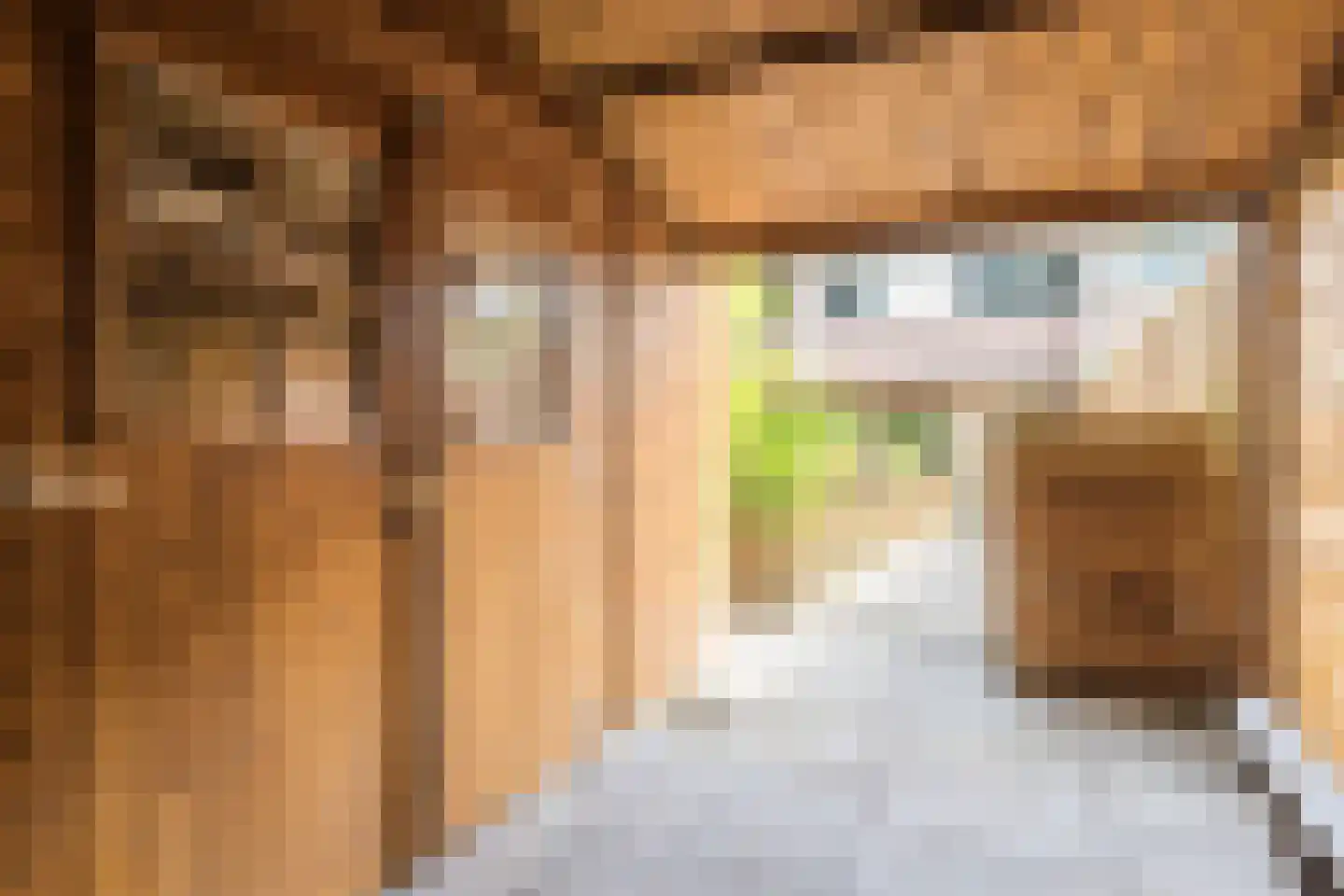 Marishof 100 Lichtenvoorde thumbnail 49