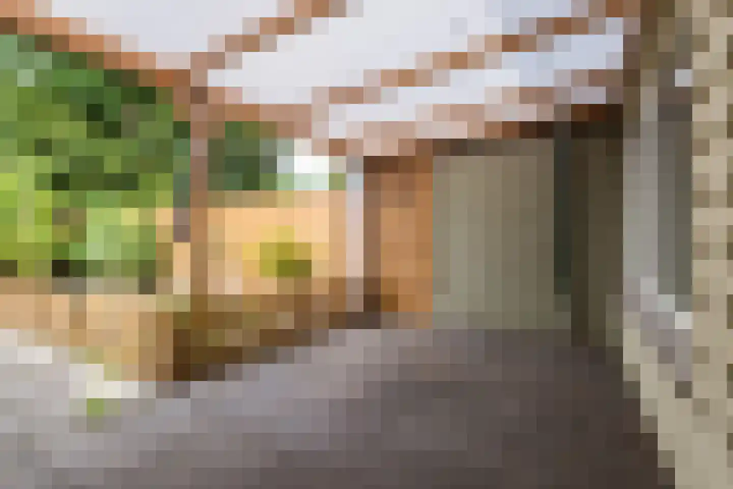 Marishof 100 Lichtenvoorde thumbnail 50