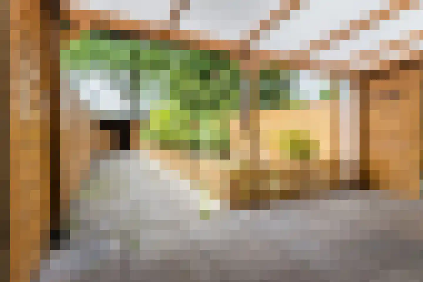 Marishof 100 Lichtenvoorde thumbnail 51