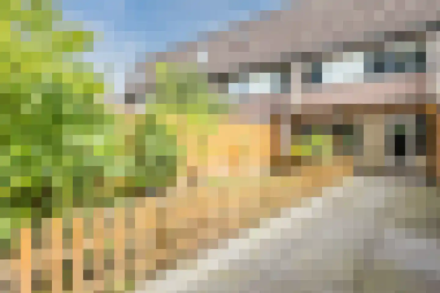 Marishof 100 Lichtenvoorde thumbnail 56