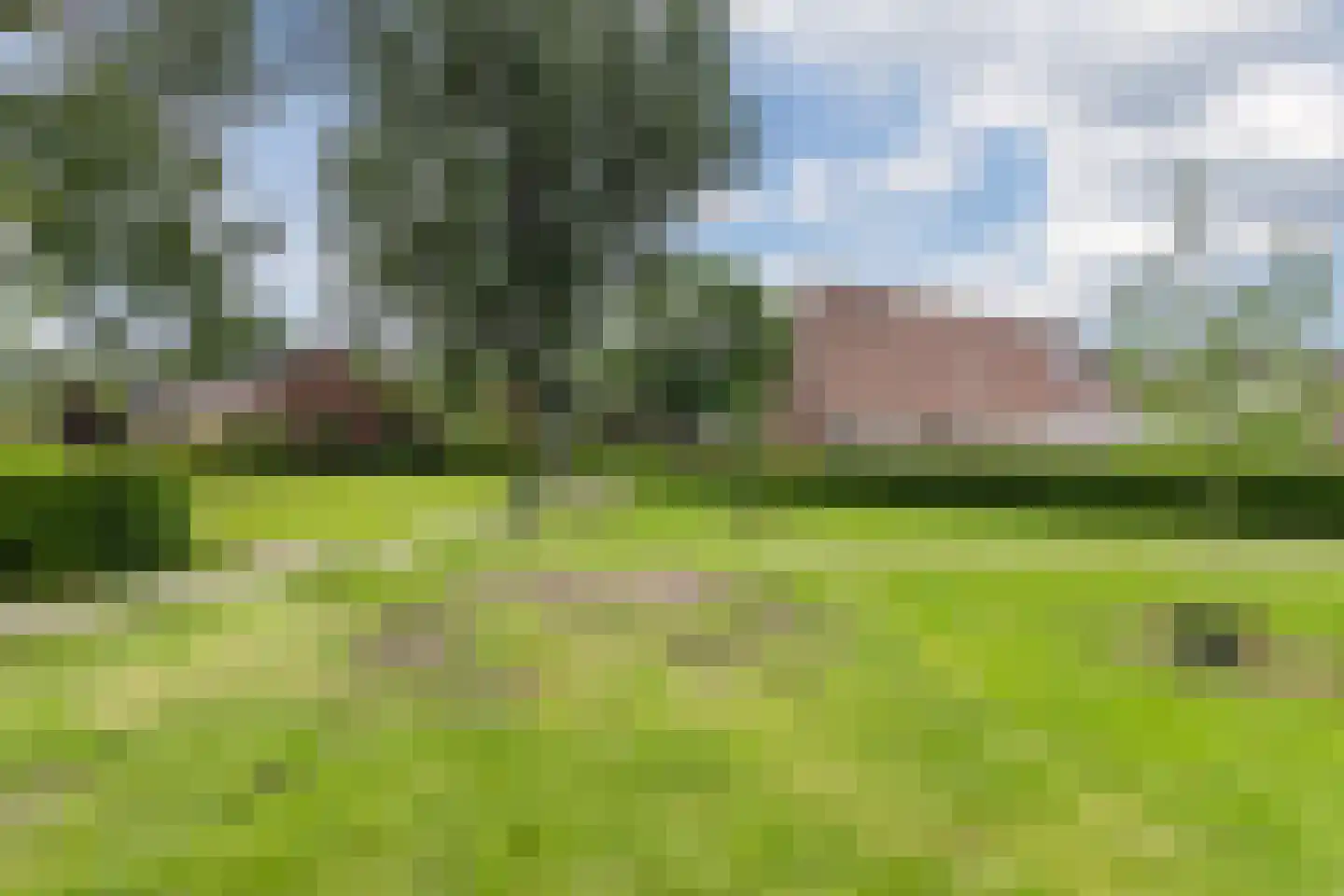 Marishof 100 Lichtenvoorde thumbnail 61