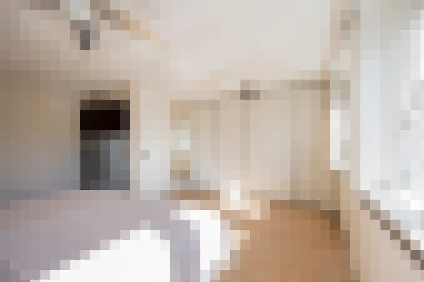 Marishof 3 Nijkerk thumbnail 18