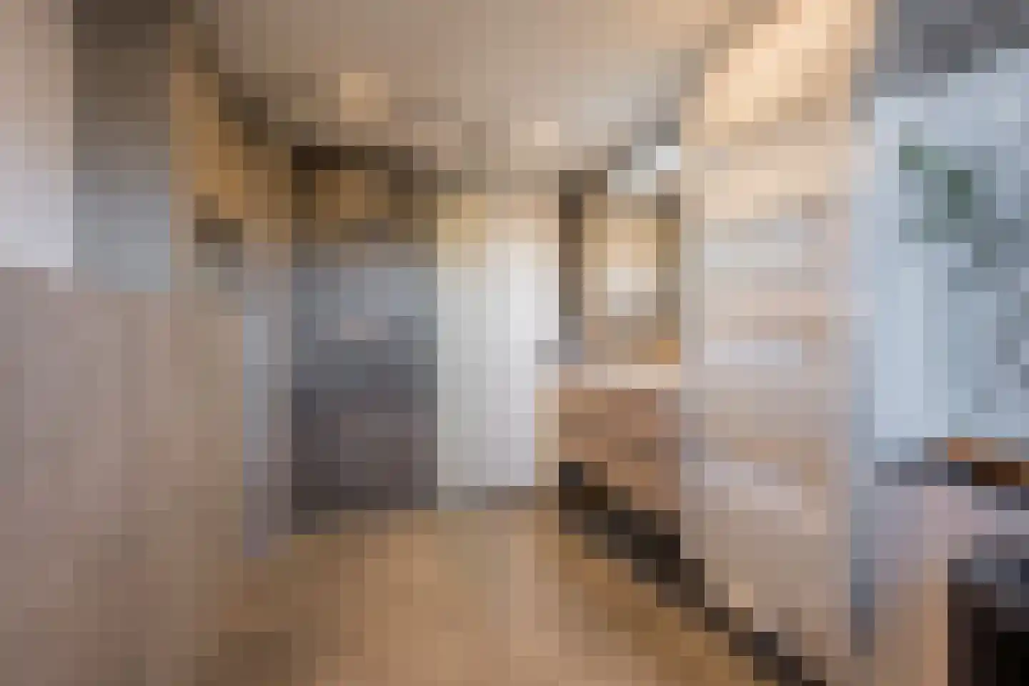 Marishof 3 Nijkerk thumbnail 25