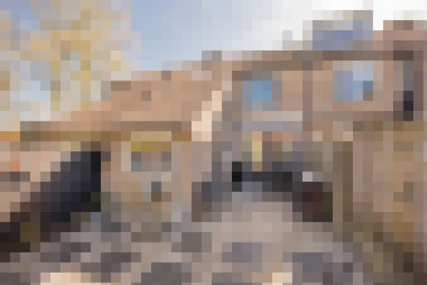 Marishof 3 Nijkerk thumbnail 31