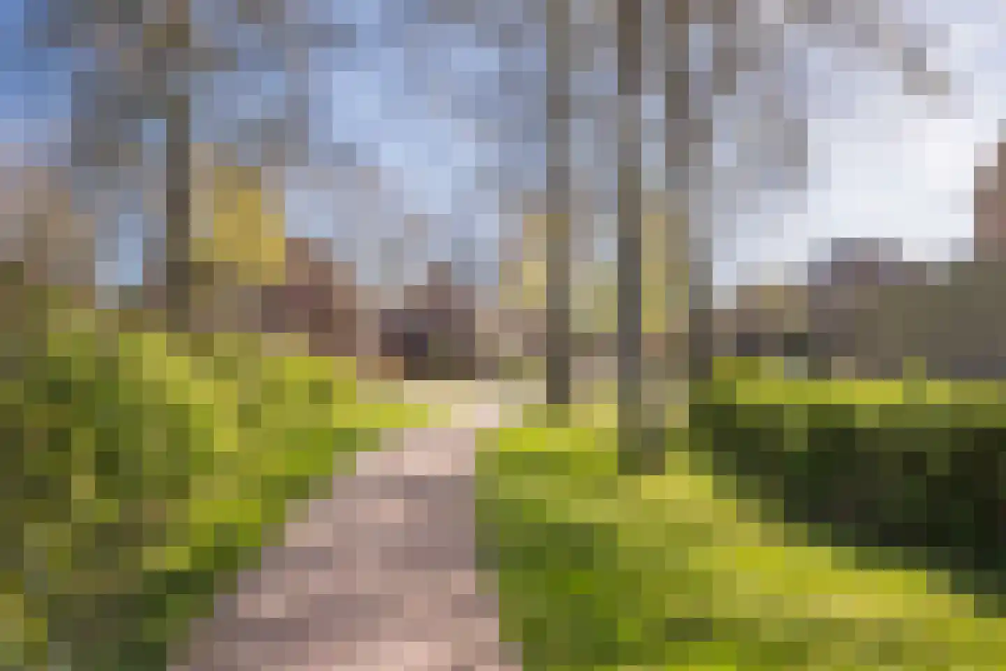 Marishof 3 Nijkerk thumbnail 40