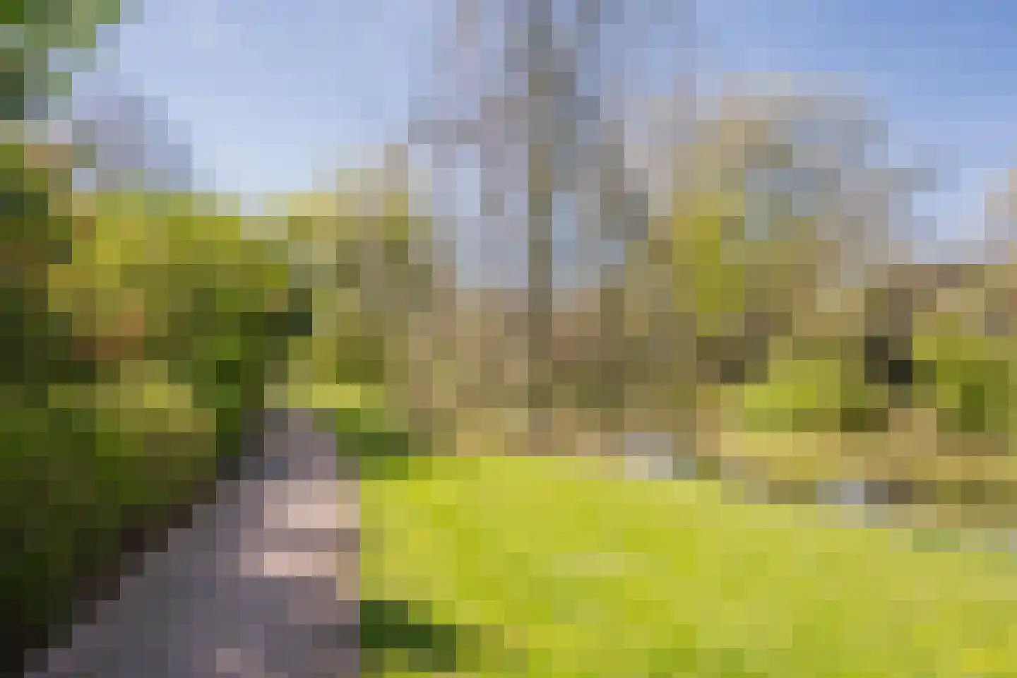 Marishof 3 Nijkerk thumbnail 41