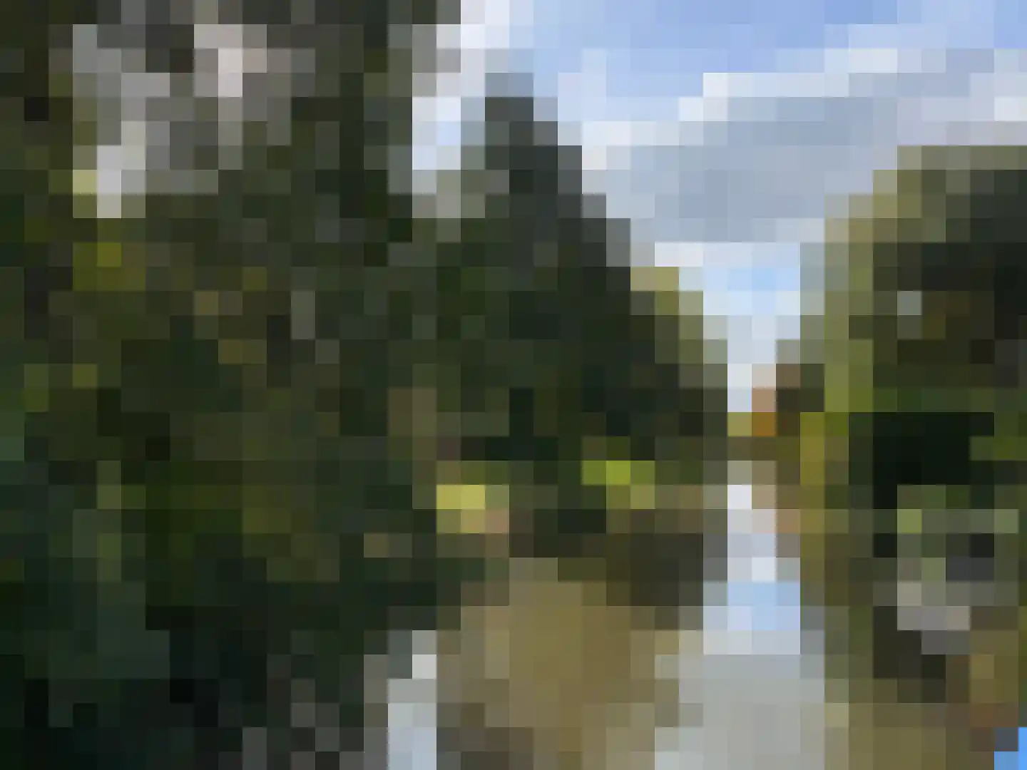 Marishof 3 Nijkerk thumbnail 43