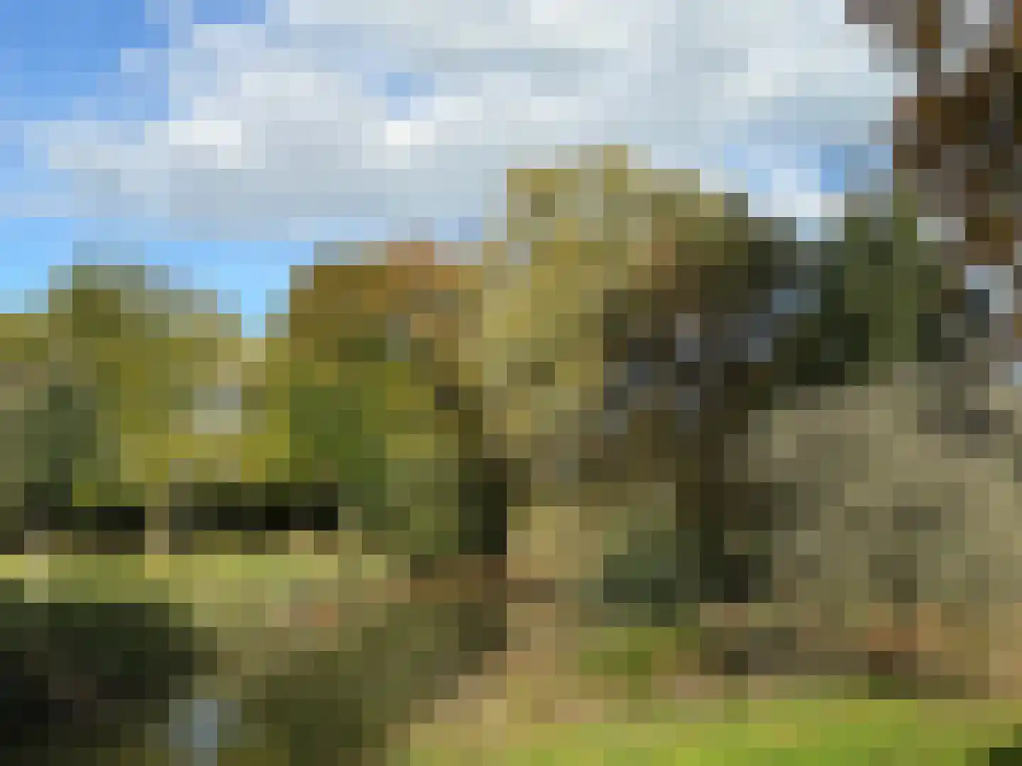 Marishof 3 Nijkerk thumbnail 44