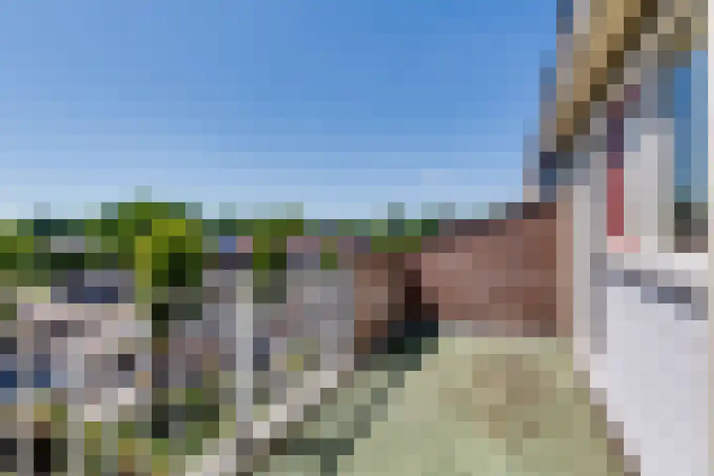 Marishof 7 Lichtenvoorde thumbnail 34