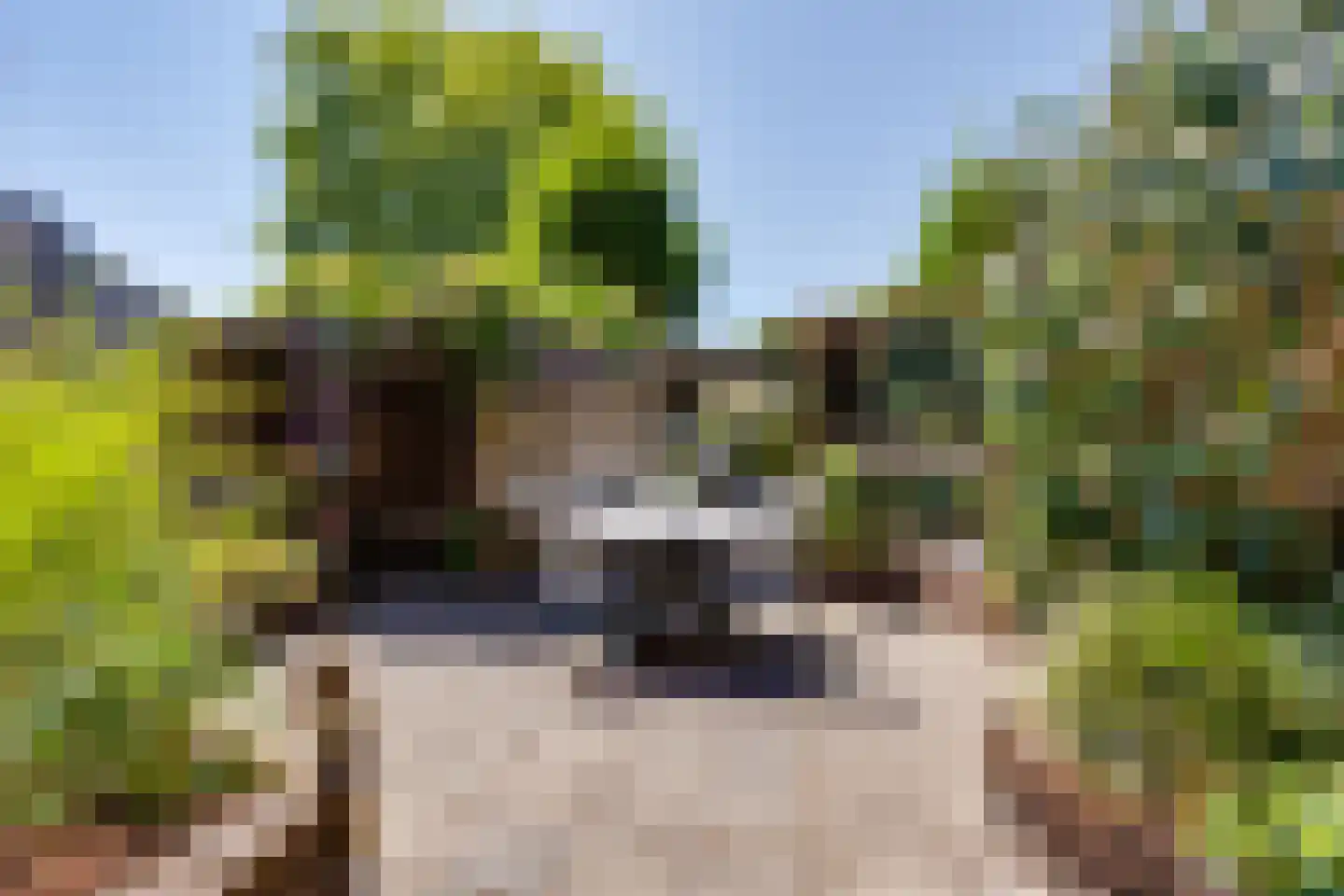 Marishof 7 Lichtenvoorde thumbnail 36