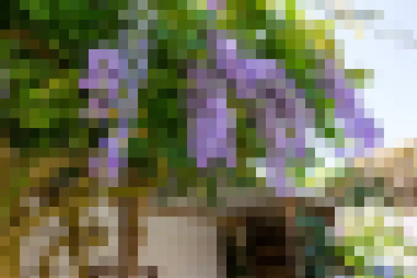 Marishof 7 Lichtenvoorde thumbnail 37