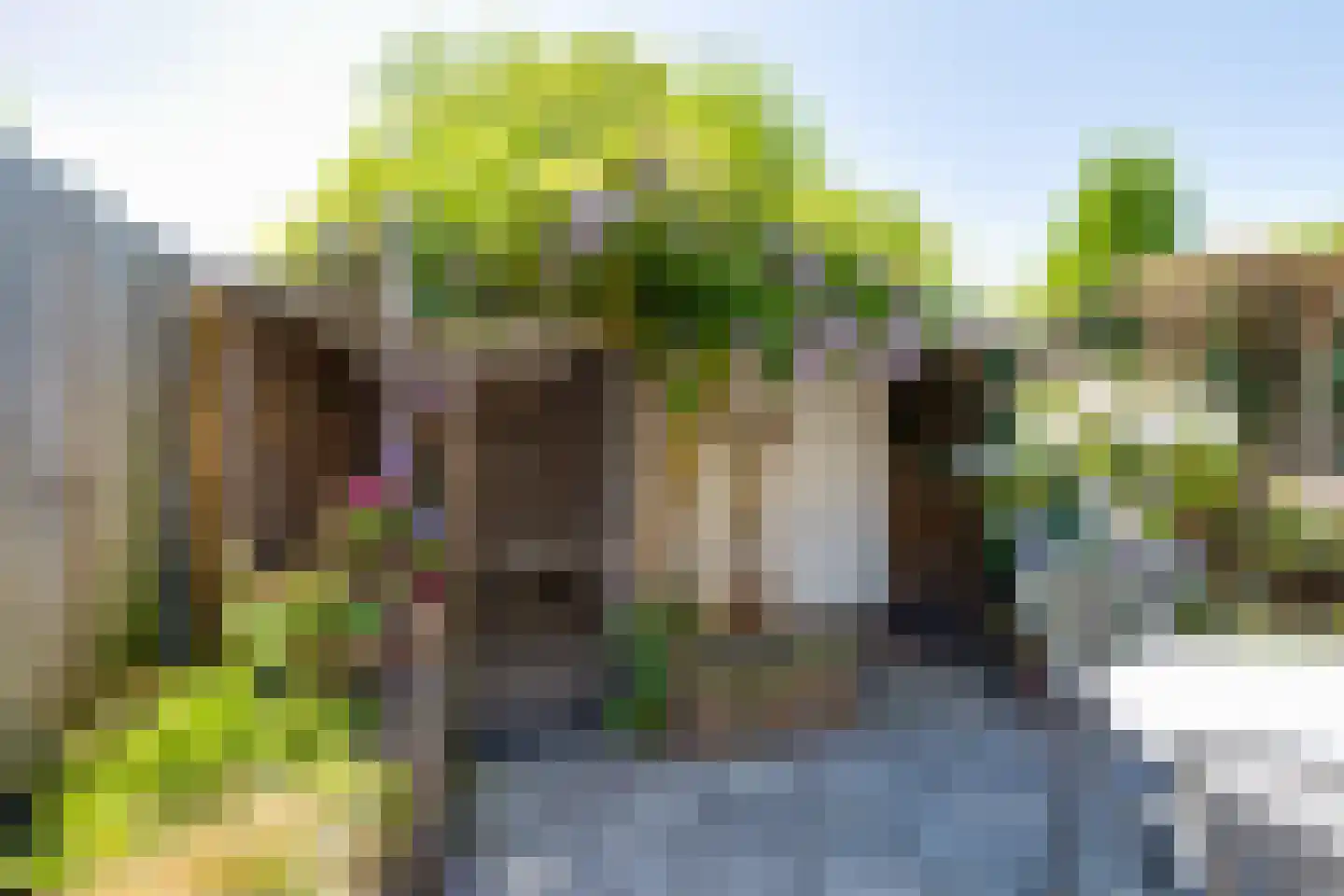 Marishof 7 Lichtenvoorde thumbnail 38