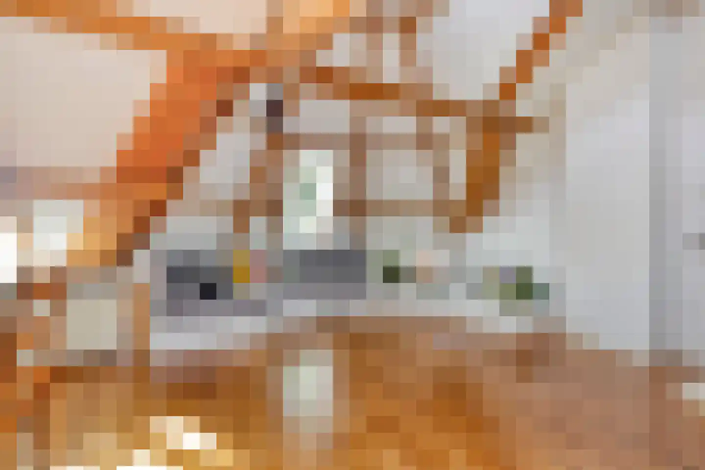 Marislaan 1 B Leiden thumbnail 11