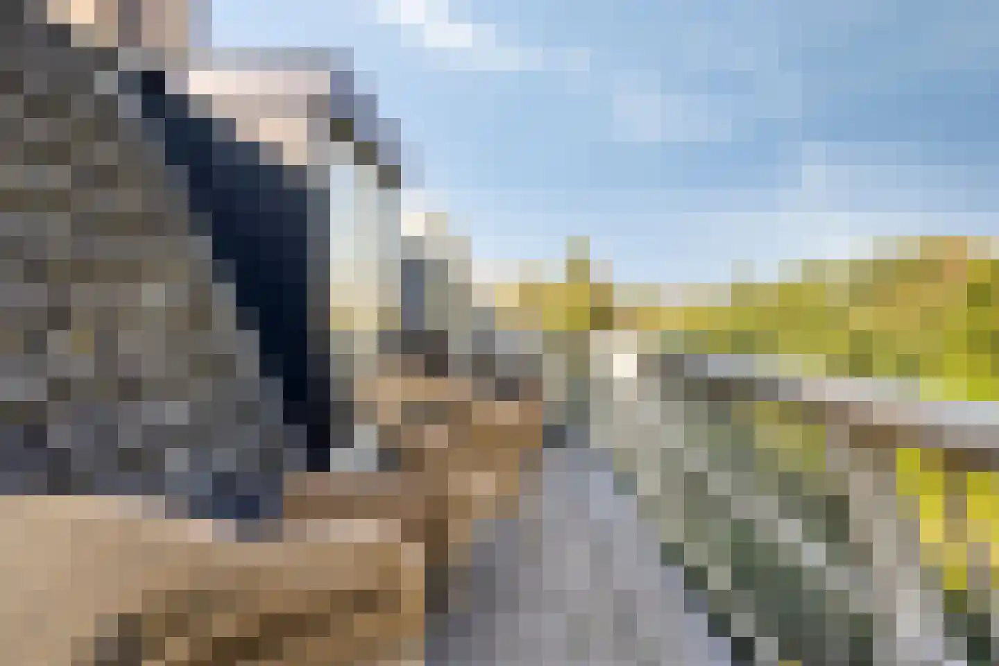 Marislaan 1 B Leiden thumbnail 32