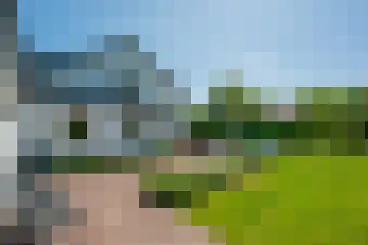 Marisplantsoen 3 Nieuwegein thumbnail 100