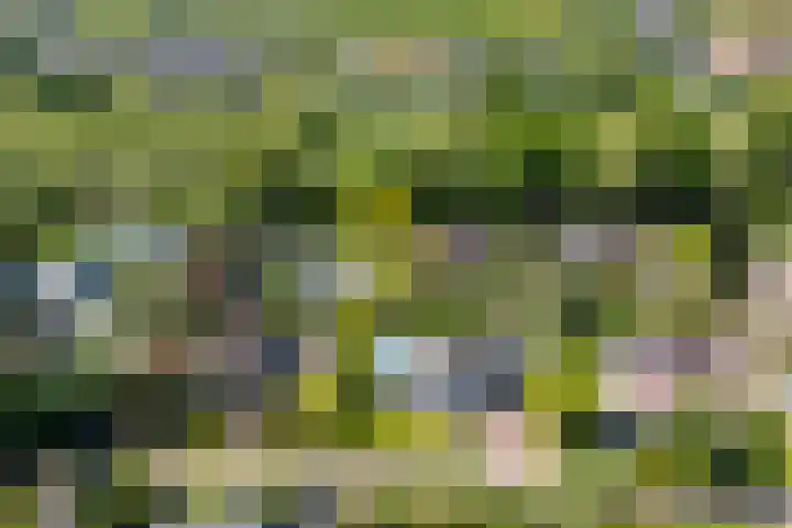 Marisplantsoen 3 Nieuwegein thumbnail 110