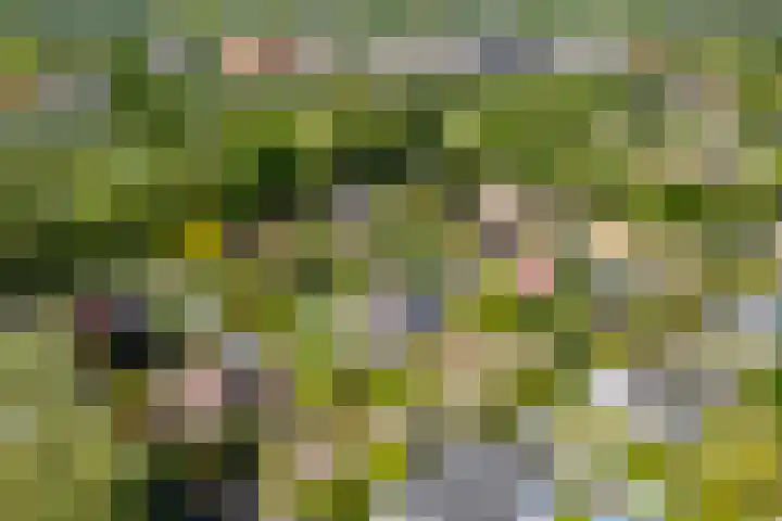 Marisplantsoen 3 Nieuwegein thumbnail 111