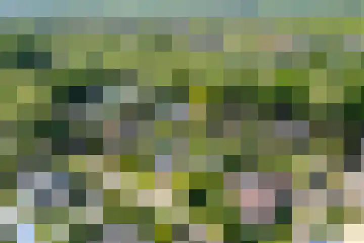 Marisplantsoen 3 Nieuwegein thumbnail 112