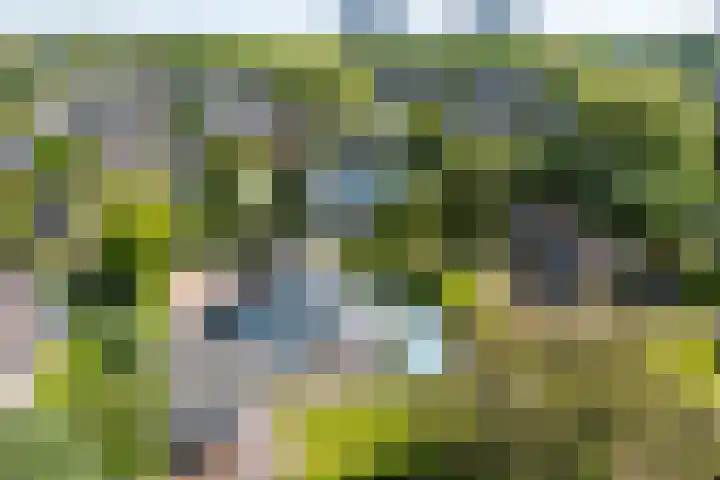 Marisplantsoen 3 Nieuwegein thumbnail 115