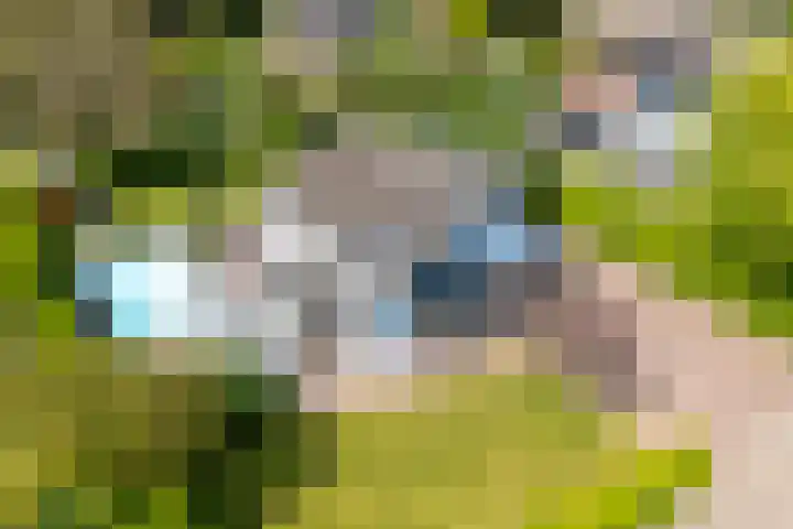 Marisplantsoen 3 Nieuwegein thumbnail 131