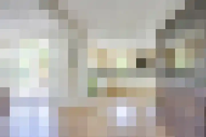 Marisplantsoen 3 Nieuwegein thumbnail 26
