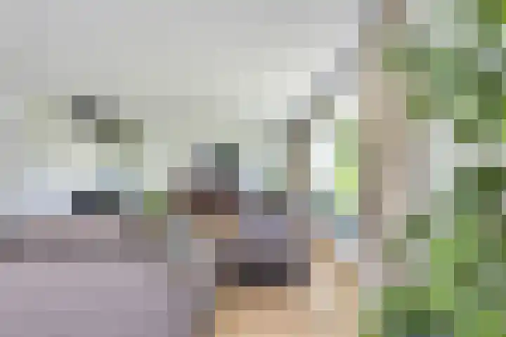Marisplantsoen 3 Nieuwegein thumbnail 9