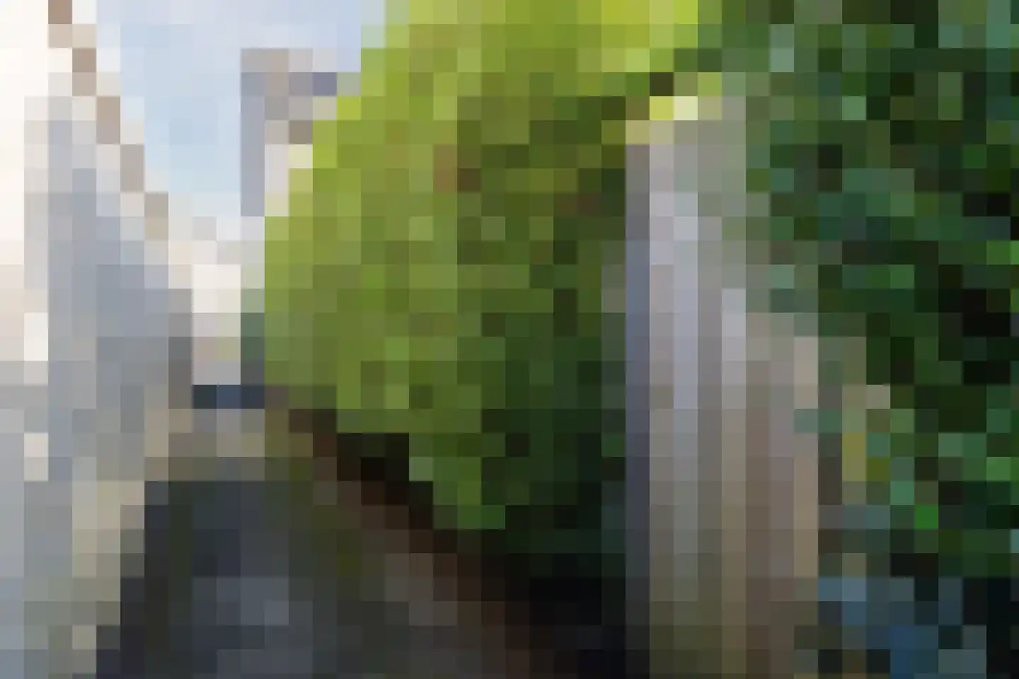 Marisstraat 15 Dongen thumbnail 30