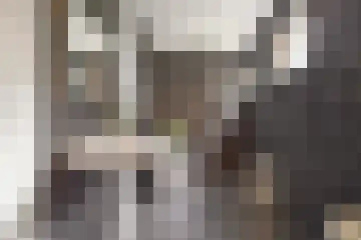 Marisstraat 25 Grashoek thumbnail 17